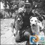 泰国警犬专抱女士双腿被发配到乡下