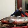 世界最大长达5米的长尾鲨被一英国男子捕到