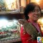 另类宠物火爆登陆哈尔滨