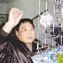 会说好话的喜鹊