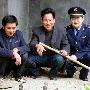 “中国第一蛇村”成功养殖眼镜蛇