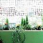 园艺设计巧运用 3招阳台变身温馨小花房