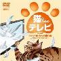 专为猫猫设计的DVD