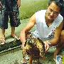 永州的古怪大龟