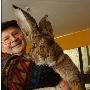 巨型兔身长1米体重仅7.7公斤
