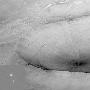 美刊评08年十大天文图片:火星山崩 星云心脏