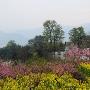 塔川景区景区介绍