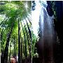 缙云山景区介绍
