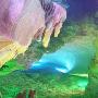 灵山洞景区介绍