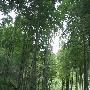 湖州塔山景区介绍