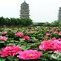太原双塔寺景区介绍