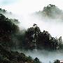 庐山景区介绍