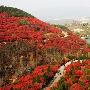 红叶谷景区介绍