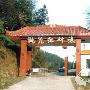 桃花江竹海景区介绍