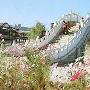 龙凤湿地自然保护区景区介绍