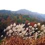 临安天目山景区介绍