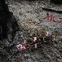 九江桃花源景区景区介绍