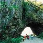 山门洞景区介绍