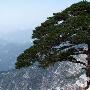 青龙潭景区介绍