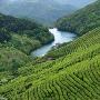 东钱湖福泉山景区介绍