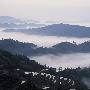 黄桑林海石峰景区介绍