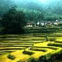 湖北天堂寨景区介绍