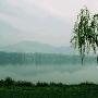 东洲岛景区介绍