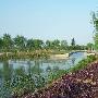 隋唐城植物园景区介绍