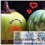 度人还是度已