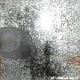 The American Dollar -《The American Dollar》[MP3!]
