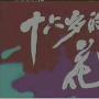 《十六岁的花季》（更新至12集全，更新第8集RM格式）[VCD-RMVB]