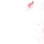 日剧《First Love》(11集全)[RMVB]
