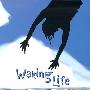 《梦醒人生》(Waking Life)[DVDRip]