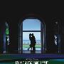 《私恋失调》(Punch-Drunk Love)[DVDRip]