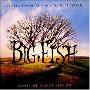 《大鱼》(Big Fish)[DVDRip]