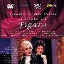 《费加罗的婚礼》(The Marriage Of Figaro)[DVDRip]