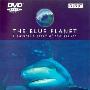 《蓝色星球》(The Blue Planet)[DVDRip]