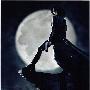 《黑夜传说 *未删节版本*》(Underworld)[DVDRip]