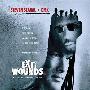 《以毒攻毒》(Exit Wounds)[DVDRip]