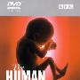《人体漫游》(The Human Body)[DVDRip]