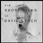 《大卫-林奇短片集》(The Short Films of David Lynch)[DVDRip]