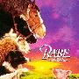 《猪宝贝》(Babe)[DVDRip]