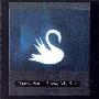 Mazzy Star -《Among My Swan》专辑[MP3!]