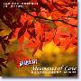 鲍比达 -《鲍比达的音乐爱情故事》(Moments of Love)[MP3!]