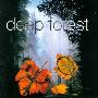 黑森林(Deep Forest) -《黑森林全集》(Deep Forest Discography)8CD(专辑+壁纸)+更新“Sweet Lullaby”的MTV[MP3!]