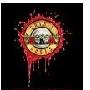 《Guns N' Roses》(Guns N' Roses World Tour Live（原创）)[DVDRip]