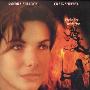 《亚马逊之火》(Fire On the Amazon)全屏(Full Screen)版（ViTAMiNC出品）[DVDScr]
