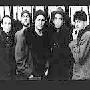 The Wallflowers -《Bringing Down the Horse》(Bringing Down the Horse)192K[MP3!]