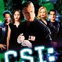 《犯罪现场鉴证》(CSI)(第二季)中文字幕全23集[RMVB]
