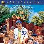 《沙地传奇》(The Sandlot)[DVDRip]